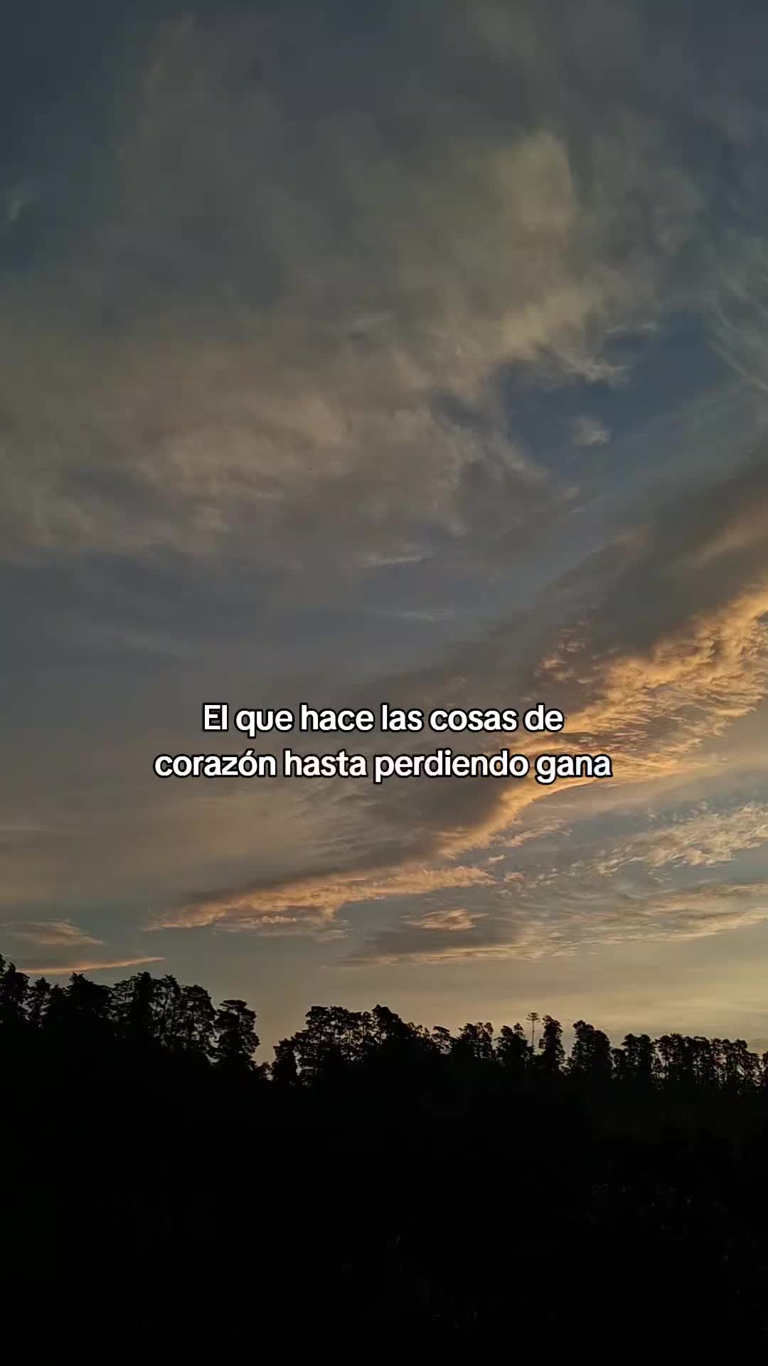 @Kevin Roa Betancourt
