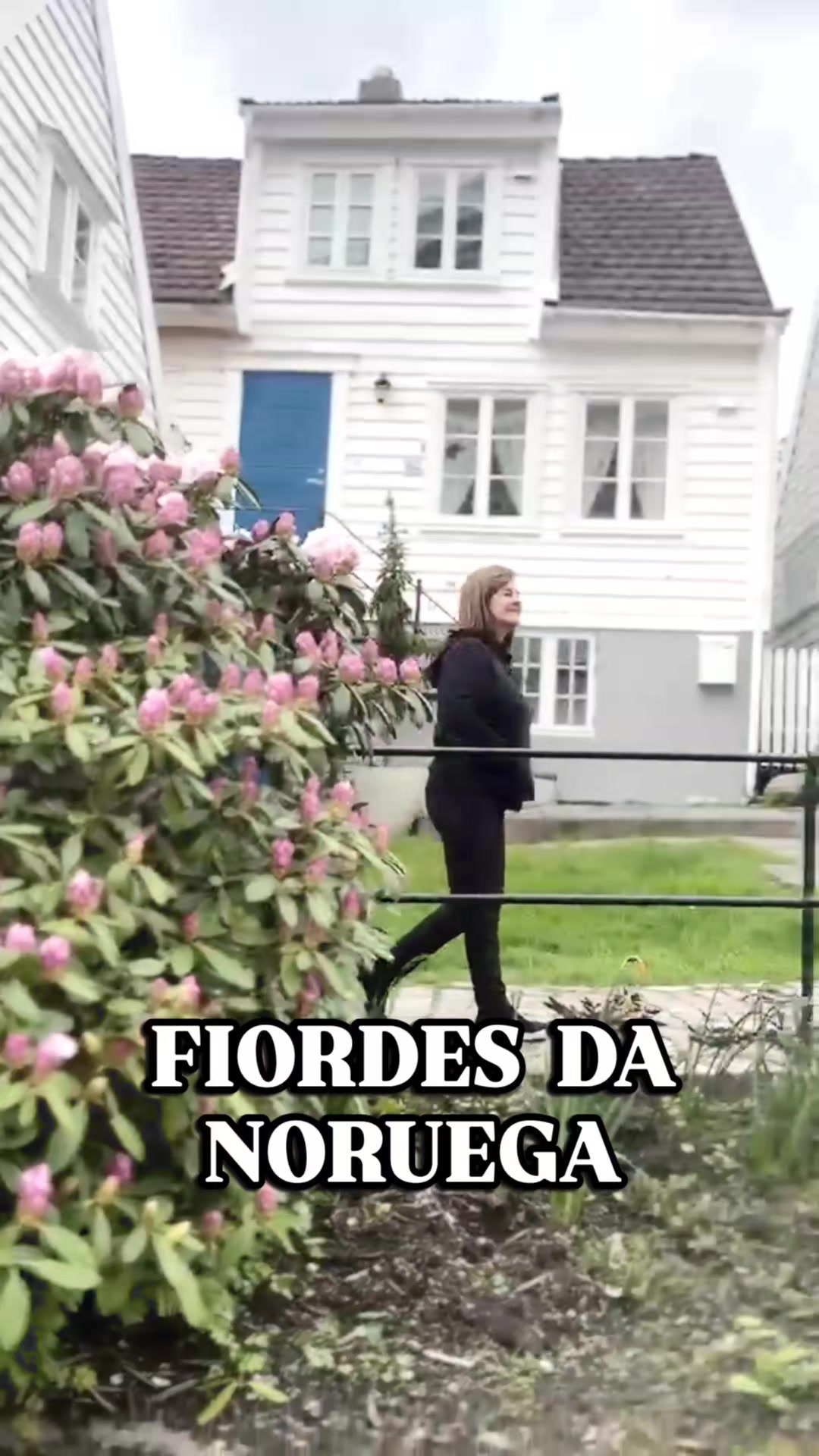 @Ale Trevisan