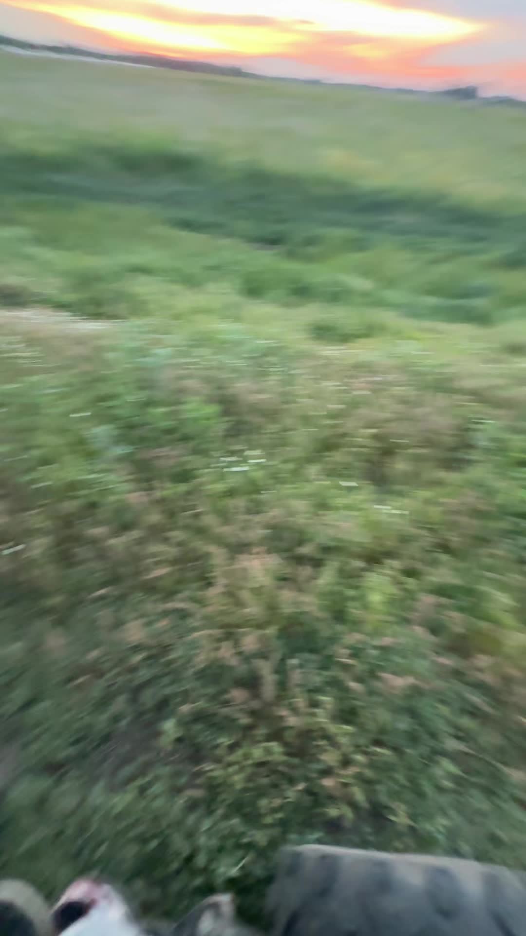 @seksyalxᛉ