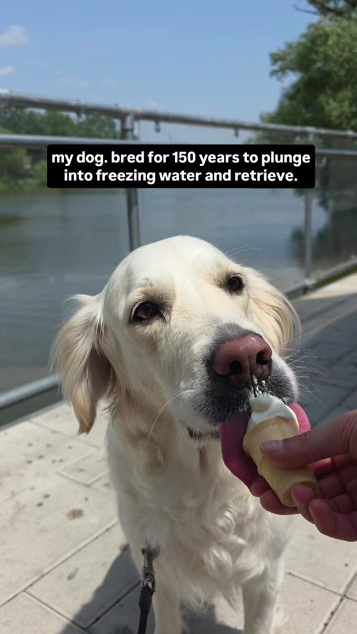 @MaxiTheCream
