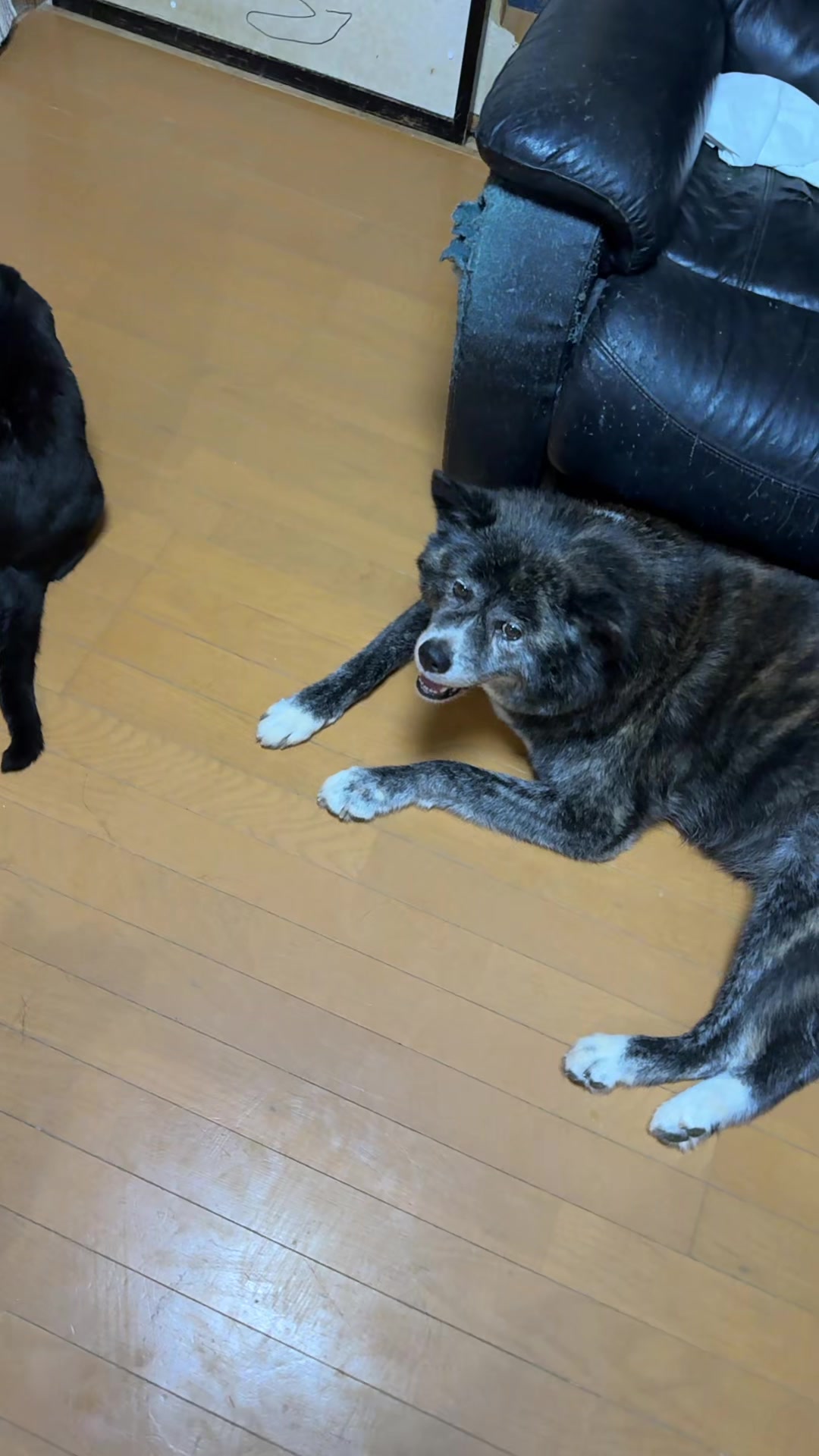 @バツ2オヤジのDiary
