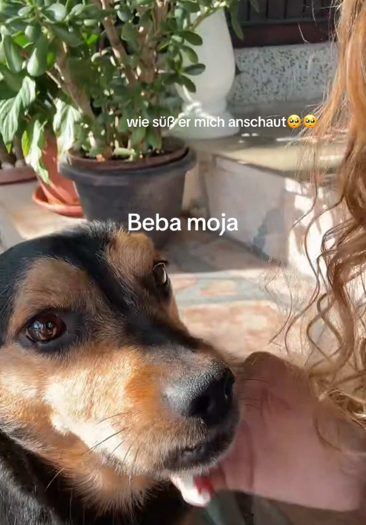 @secuute
