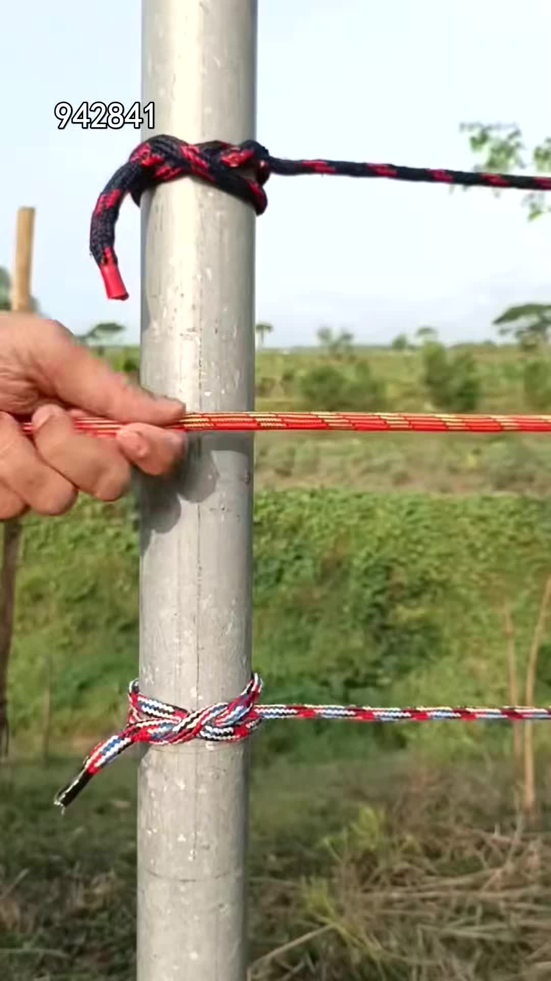 @pjtqbc