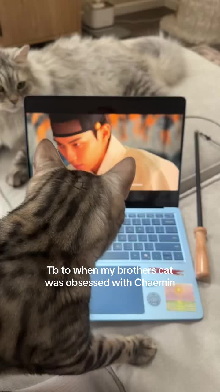 @Bell ૮꒰ ˶• ༝ •˶꒱ა