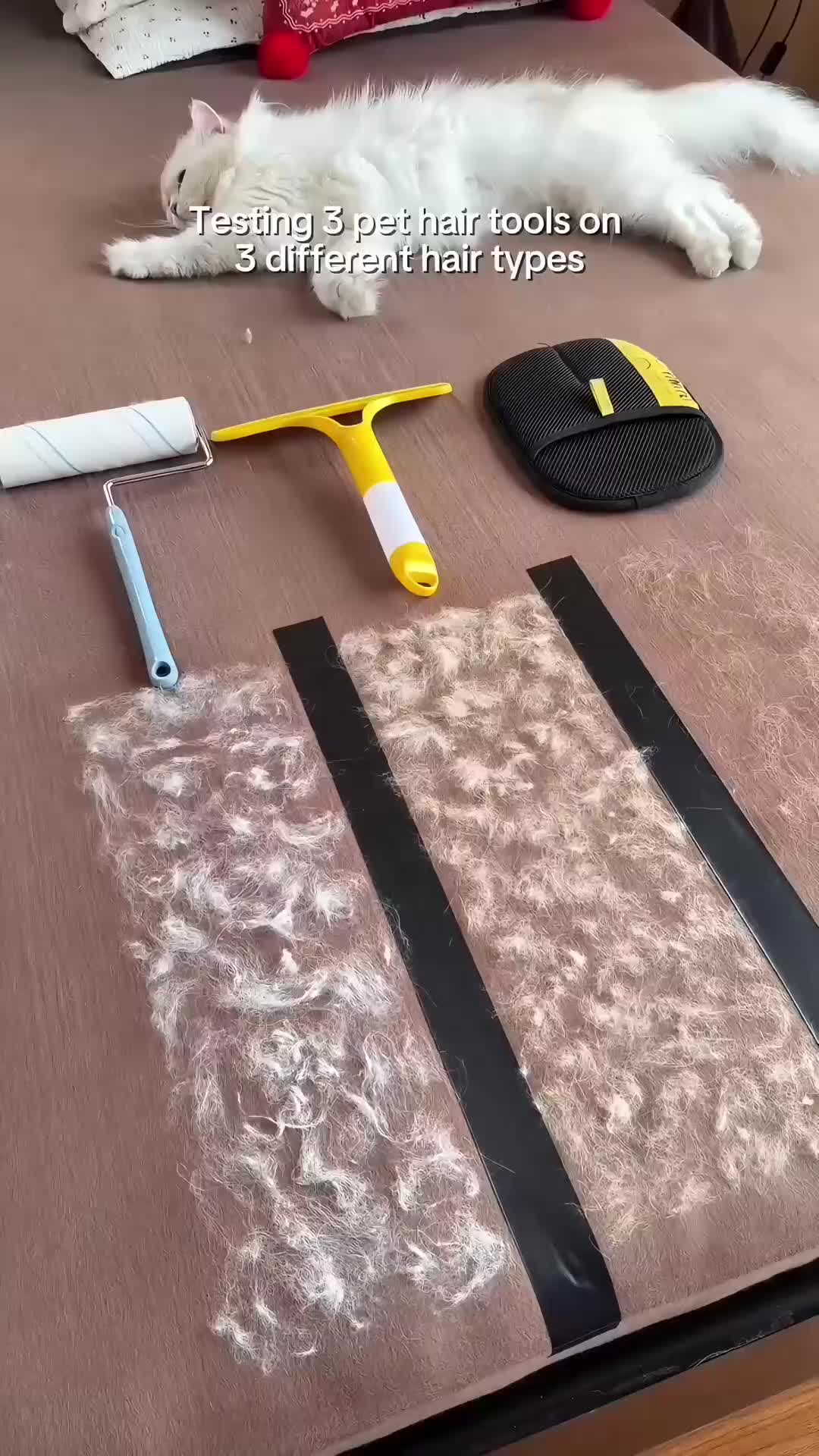 @Dropship