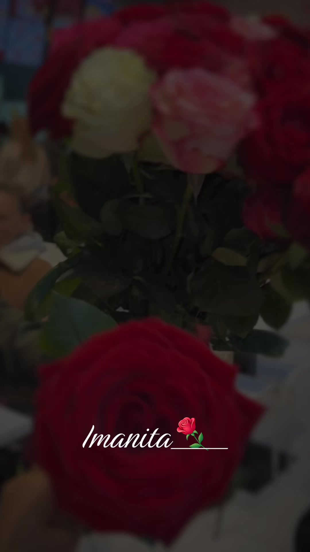 @imanita___