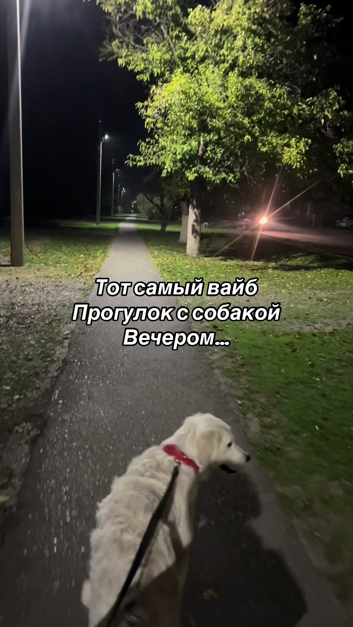@𐔤ɯᥲᥴⲧыύ ⲙᥲρ᥈υ🥏