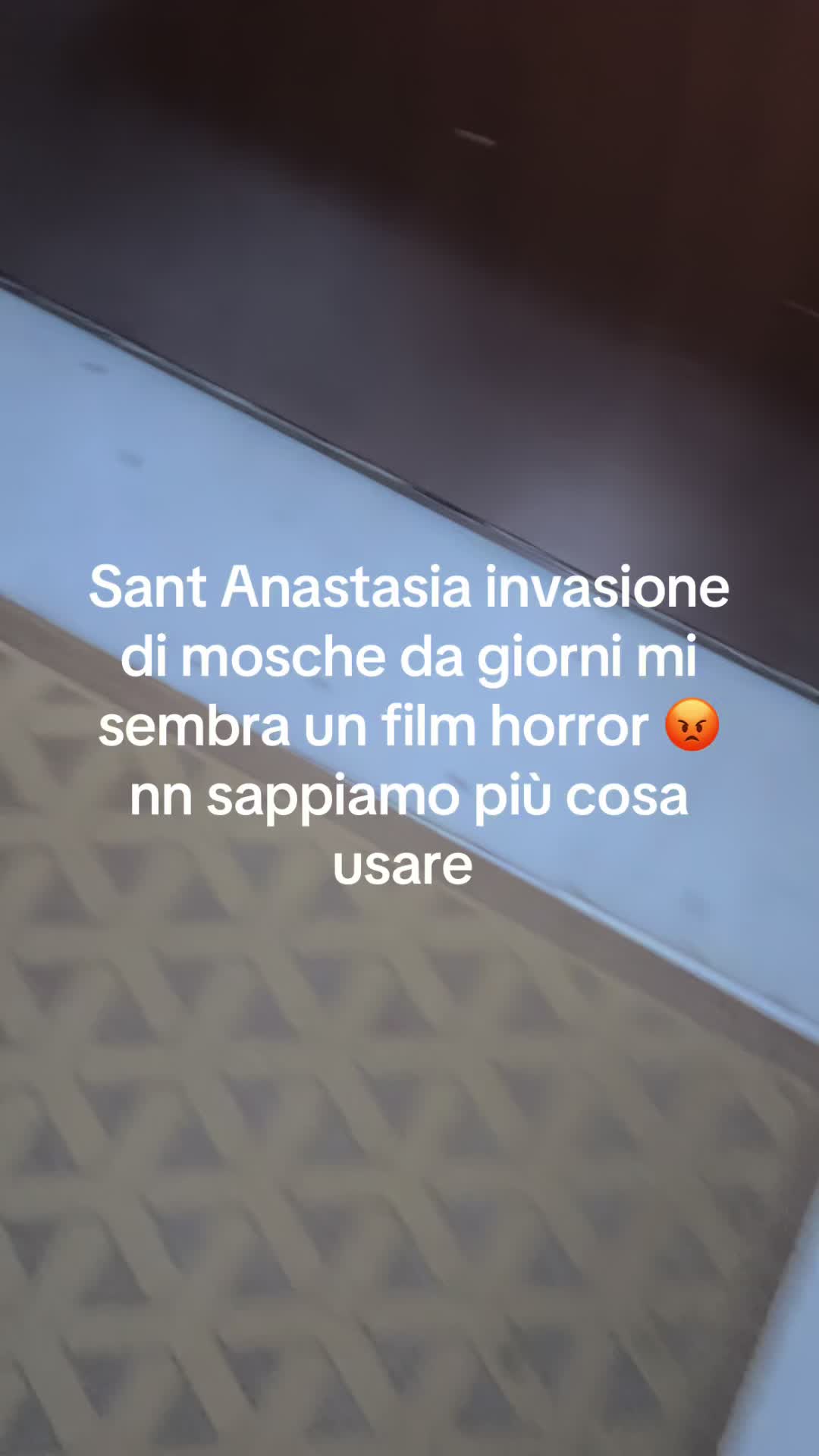 @Cristina Grazioli