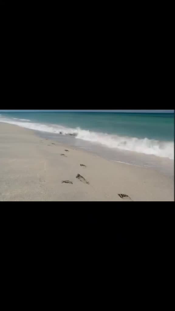 @𝒗𝒂𝒎𝒑𝒚