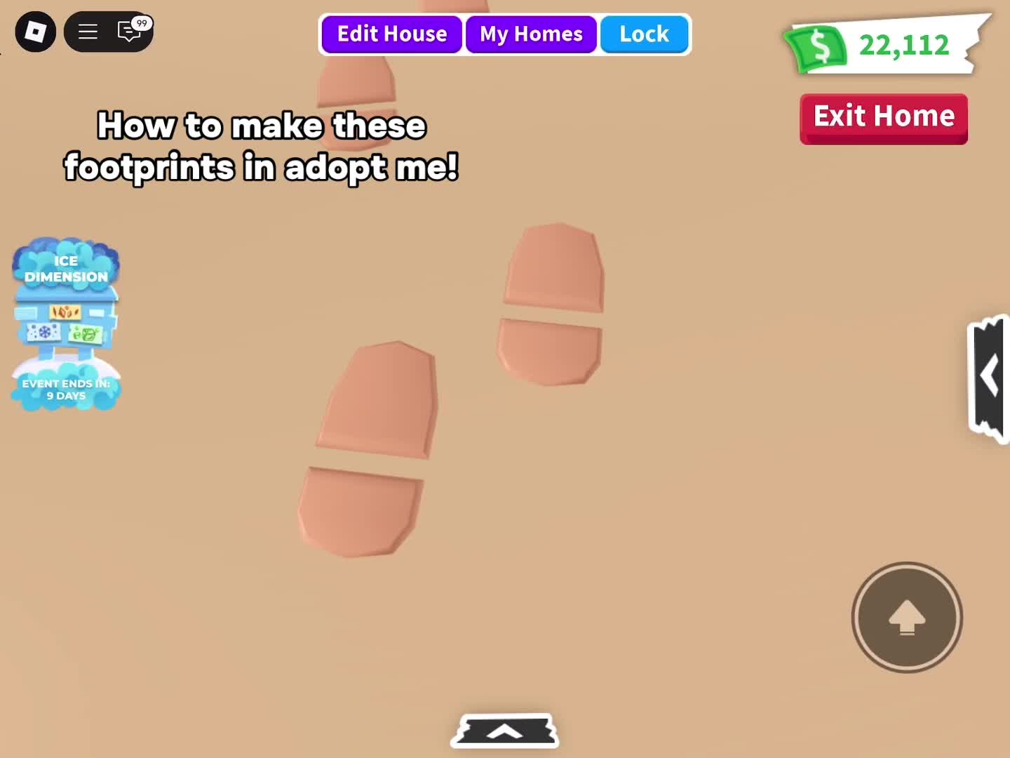 @⋆｡˚꒰ঌ 𝑨𝒏𝒂 ໒꒱˚｡⋆