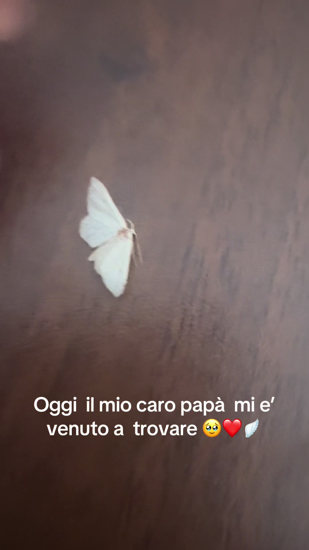 @Tandurella grazia.