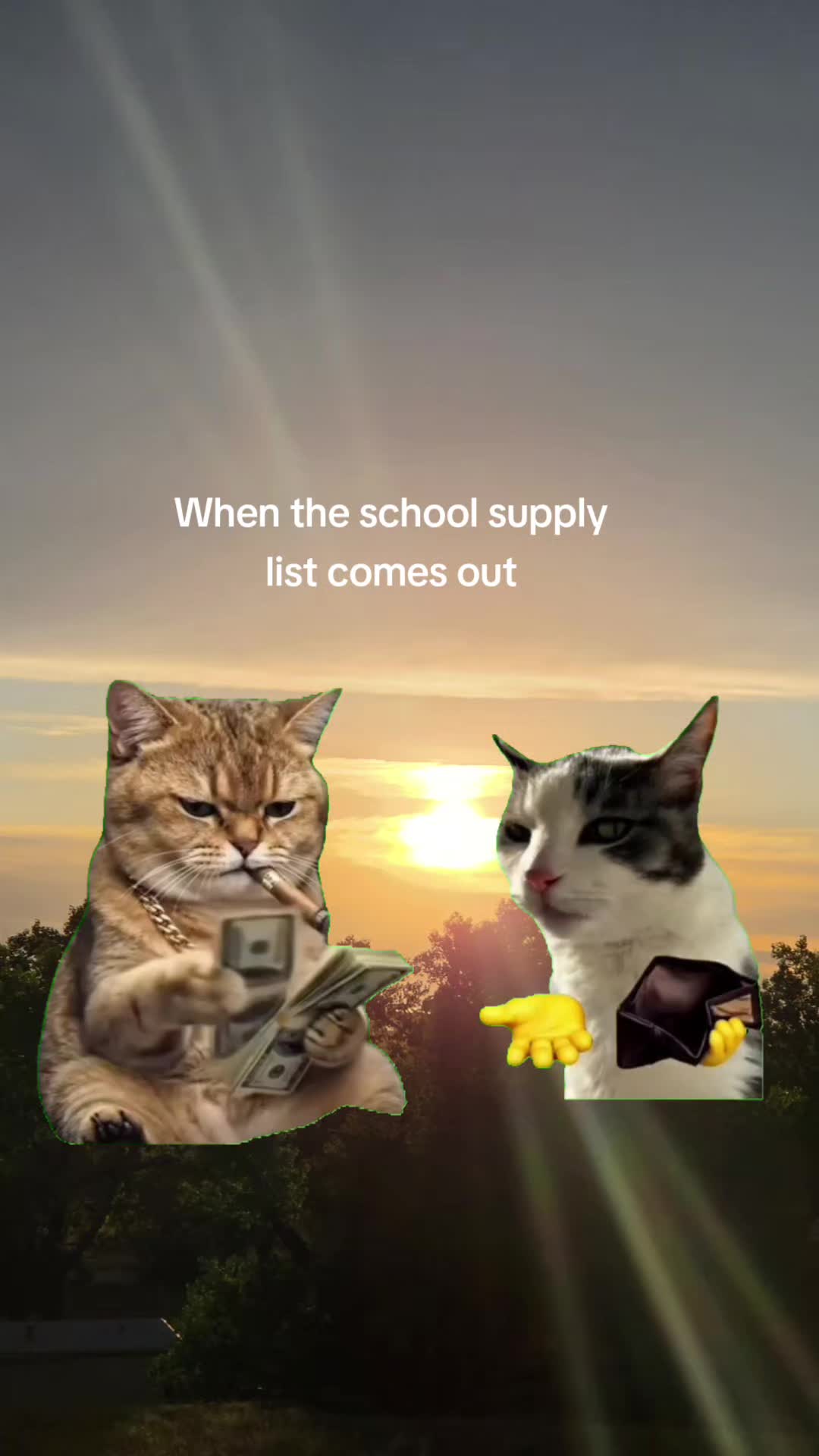 @CatNCoyNCam