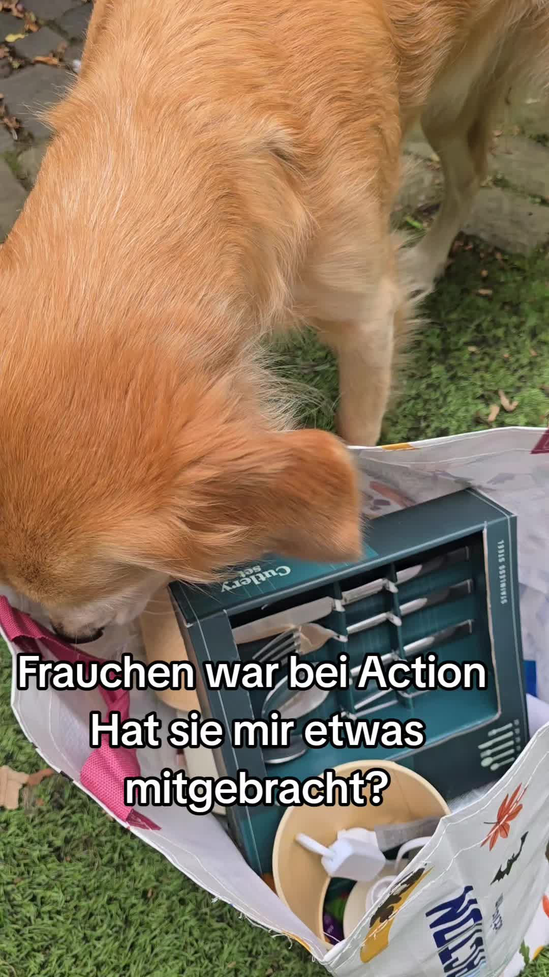@Fellnasen WG