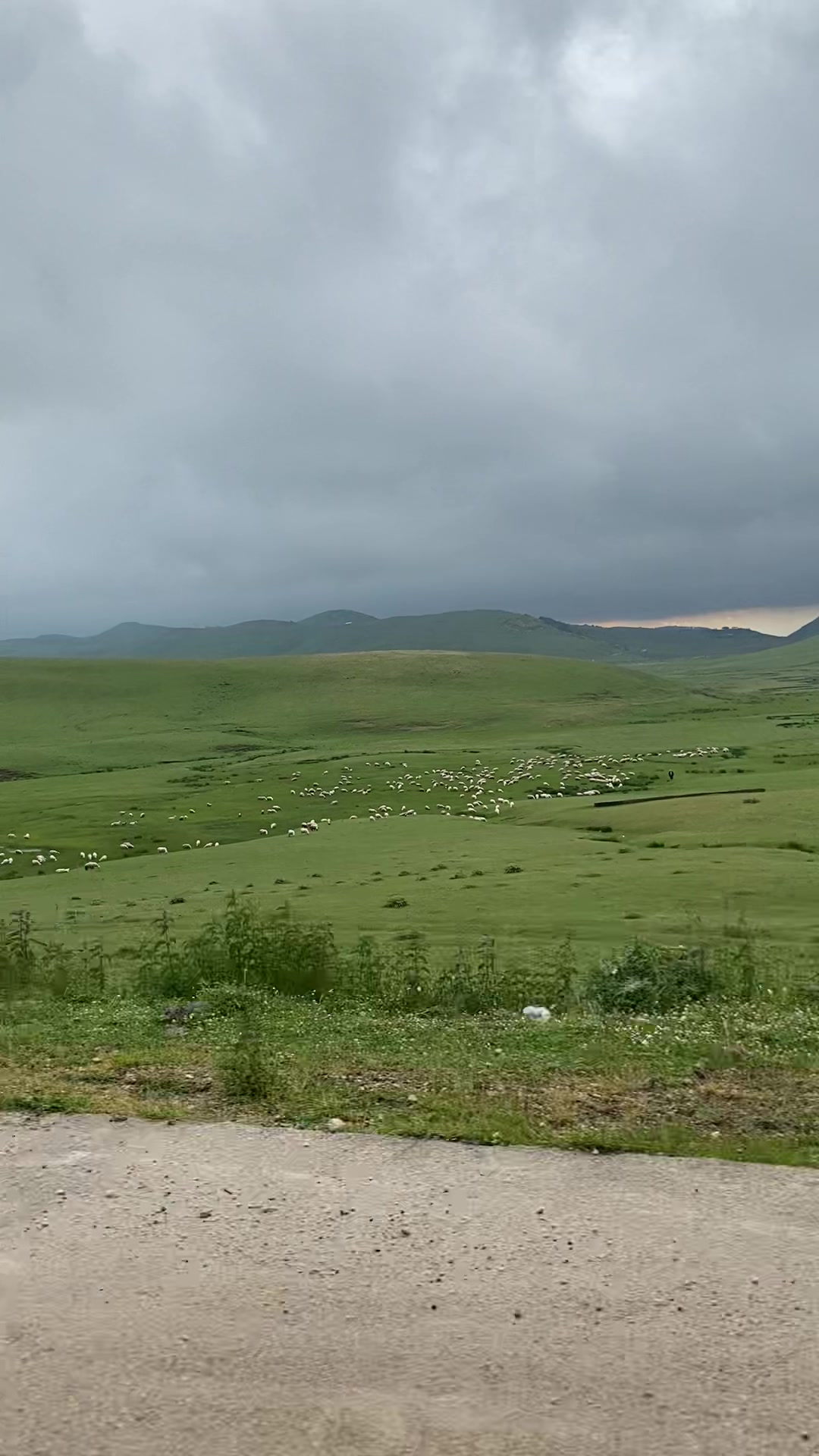@Türkü1