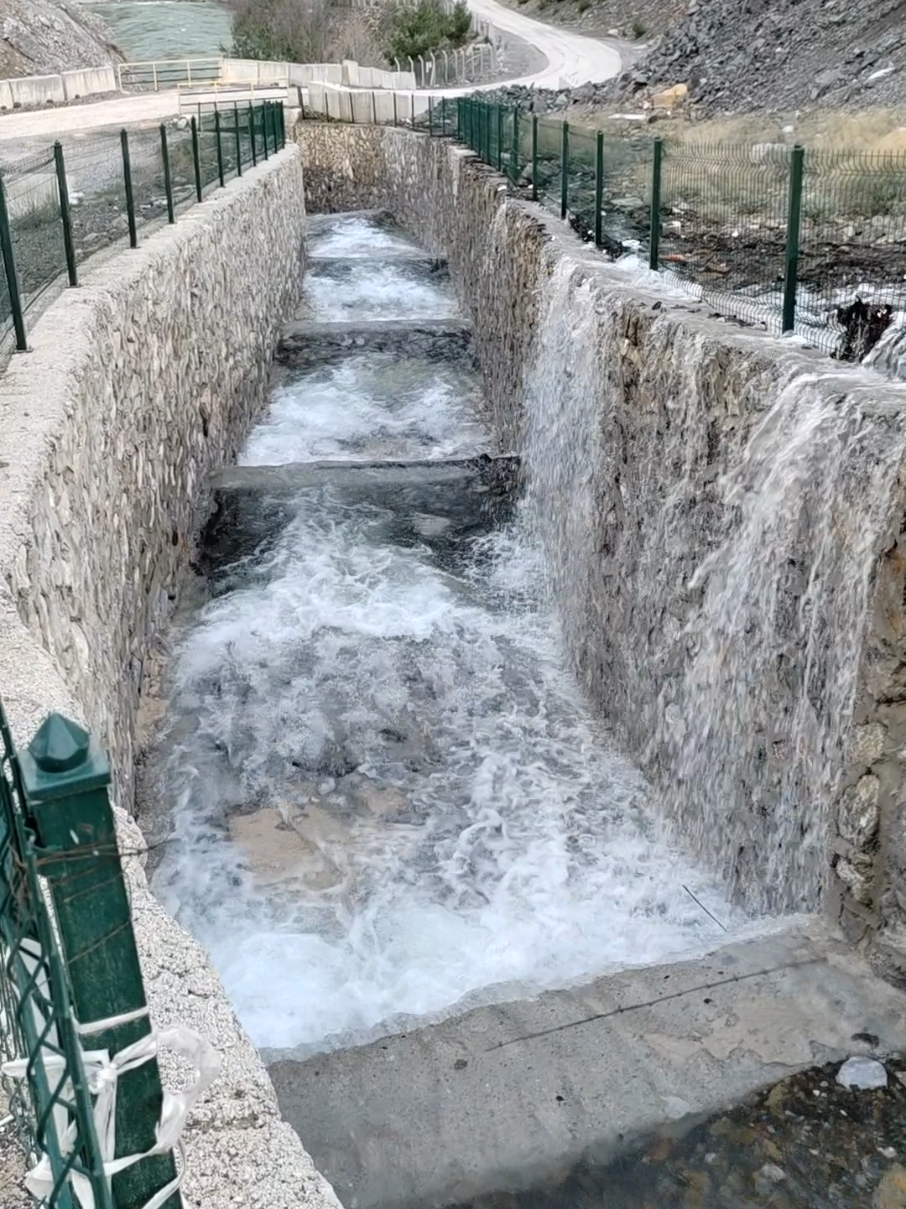@Ali Sağlamer