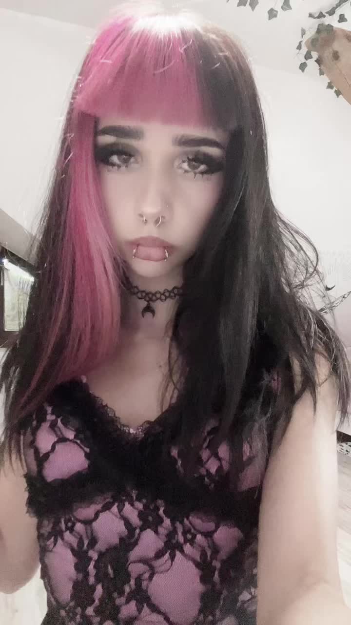 @🐾🐾🐾