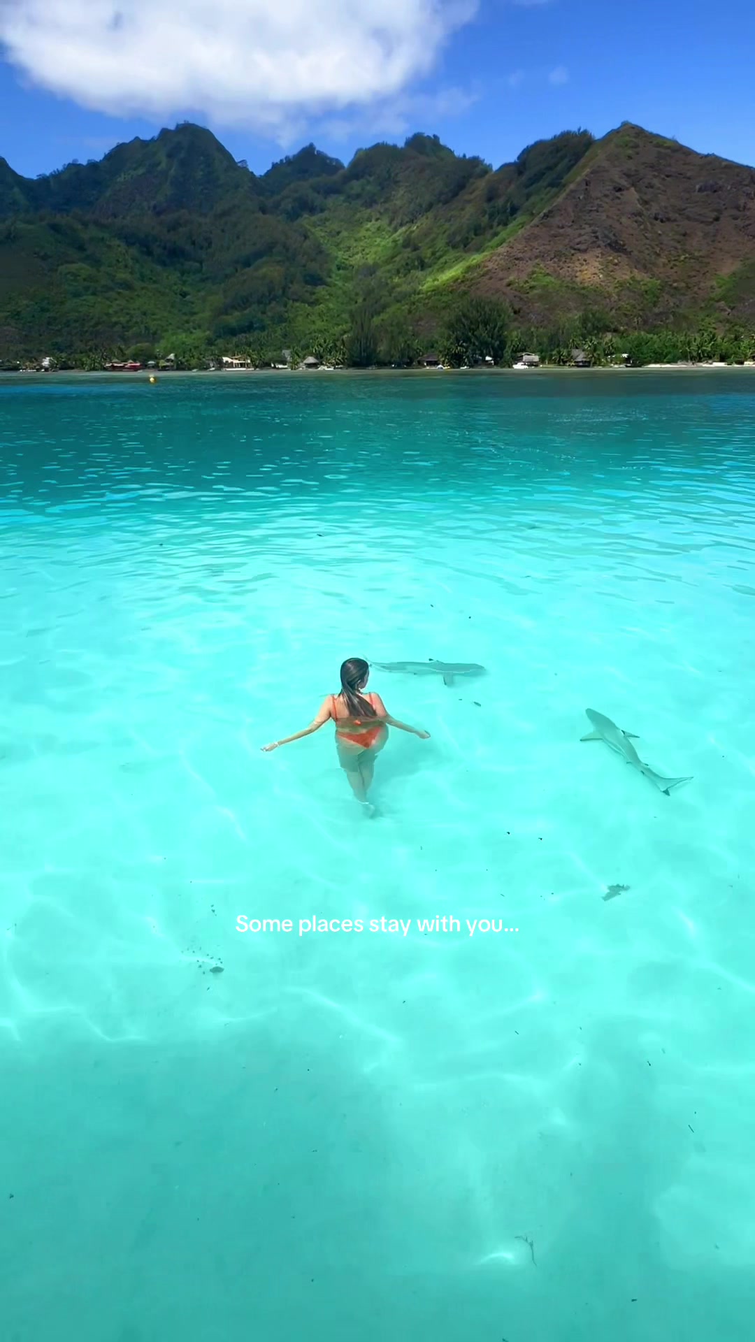 @Aimee Bell - Travel & Life