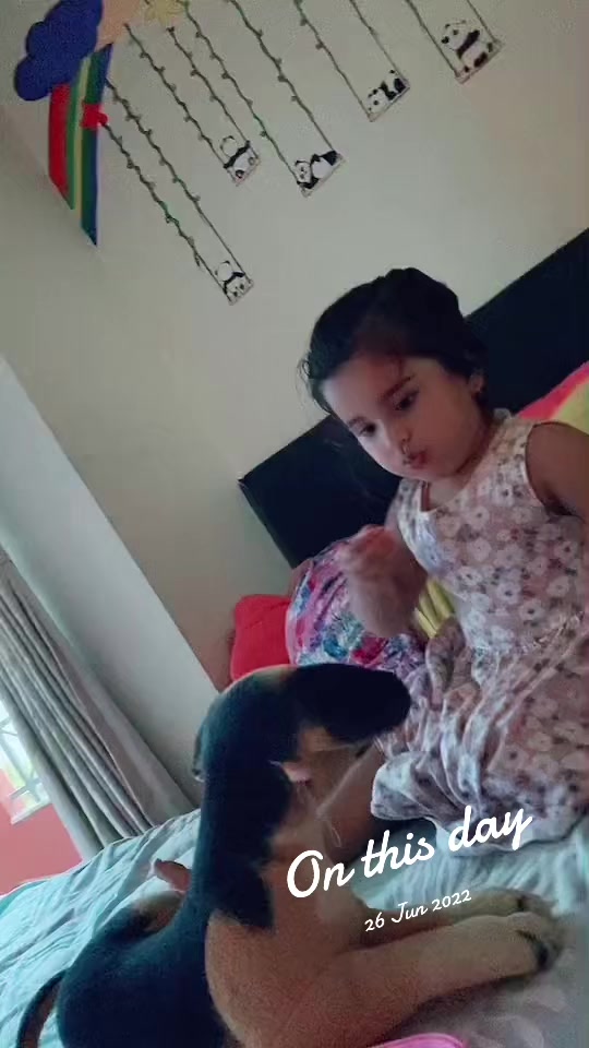 @ichhya.kunwar.lamichhane