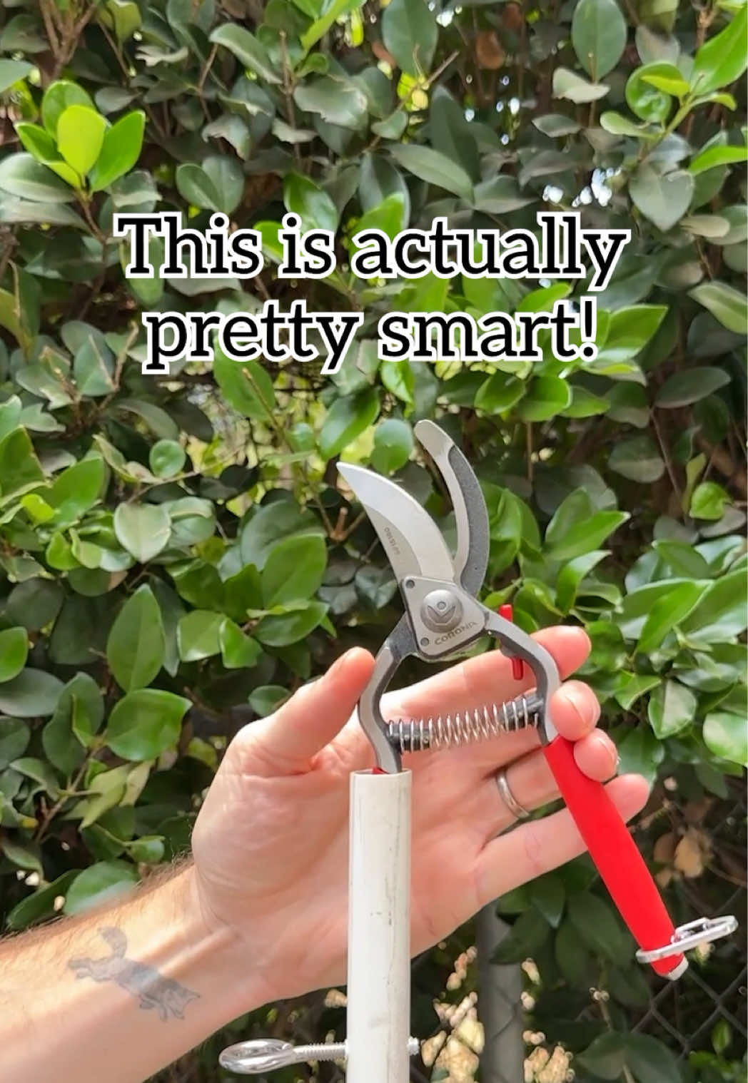 @Jeff & Lauren