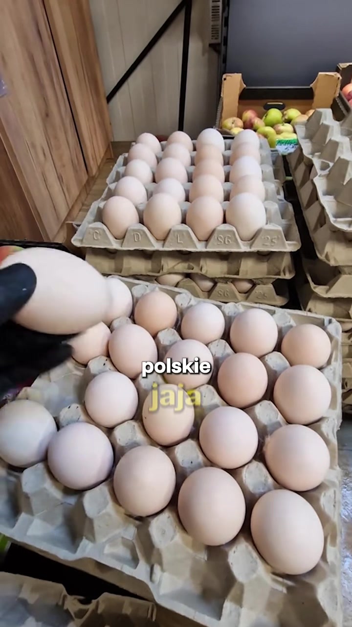@Ogarnij Swój Inglisz 🇺🇸