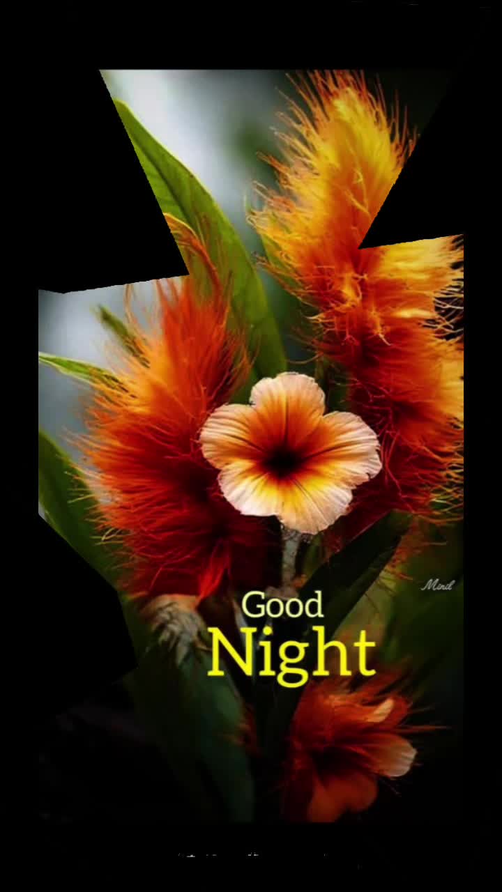 @Sai Meena
