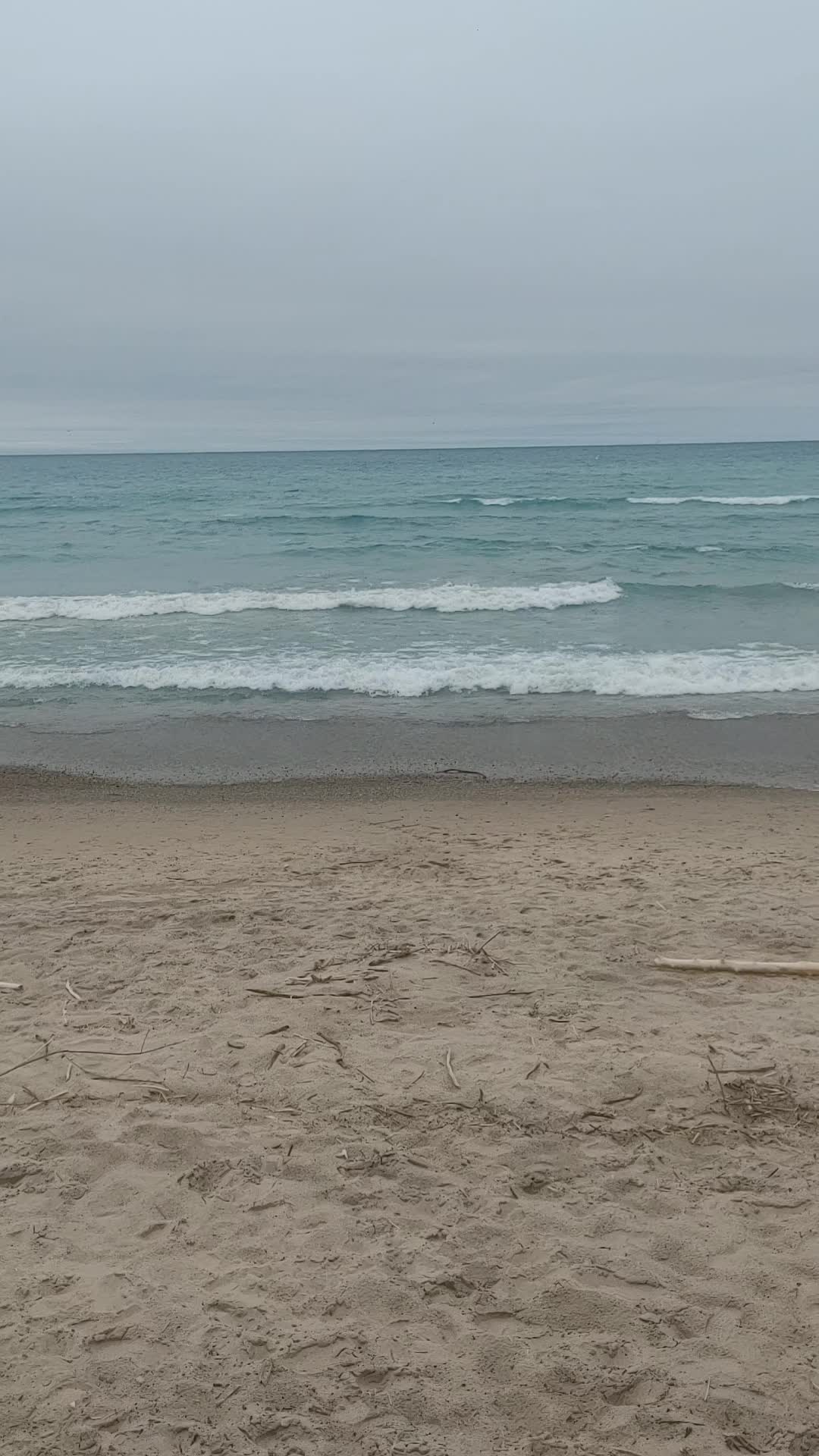 @van_essav 🇯🇲🇨🇦