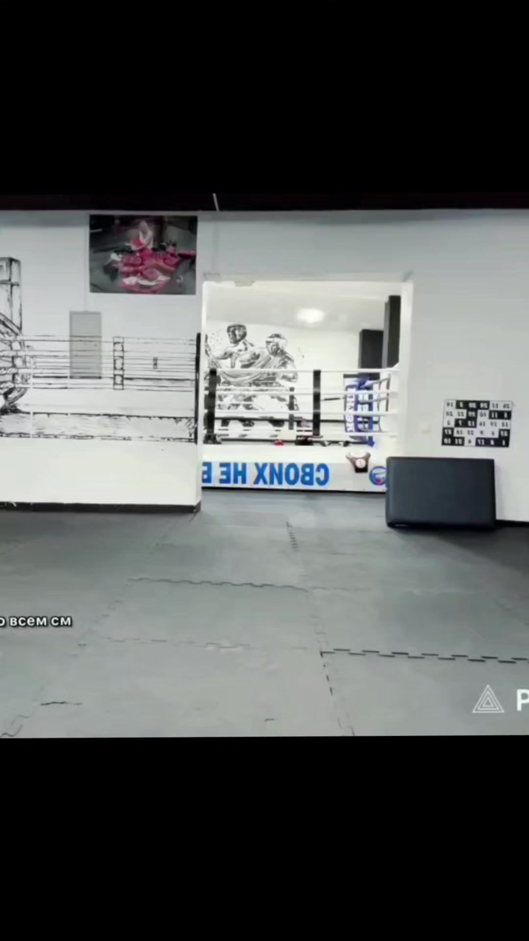 @китᴀникс