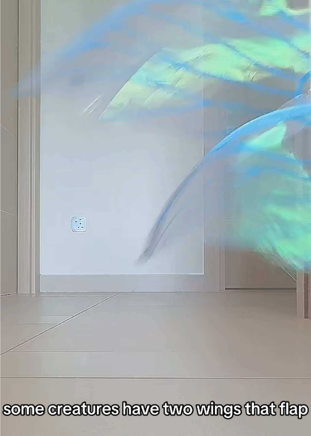 @🫧⋆꩜｡𝖫𝗂𝗅𝗅𝗒𝖷𝖬𝗂𝖺｡꩜⋆🫧🪽