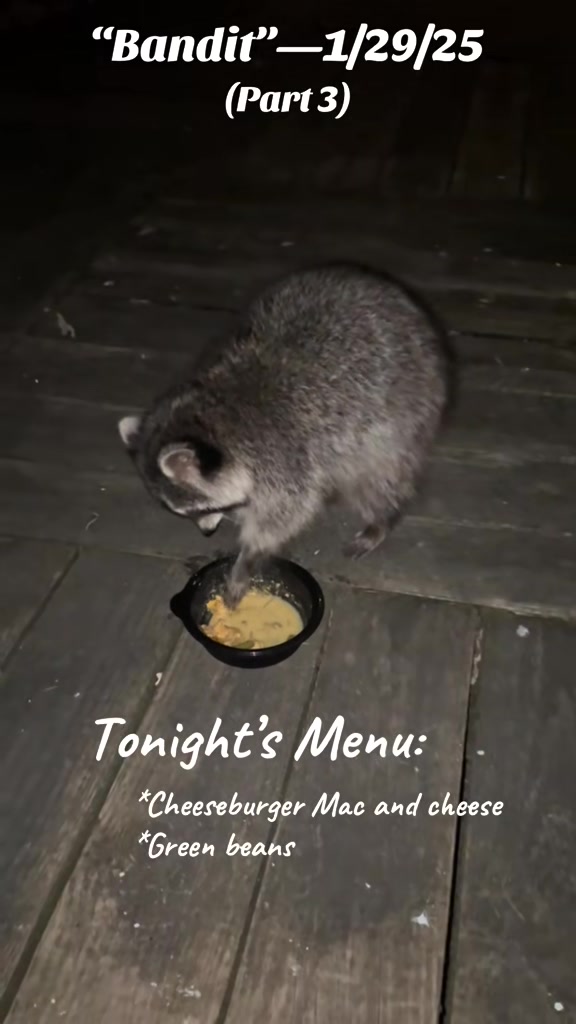 @LoneWolfKritterKam