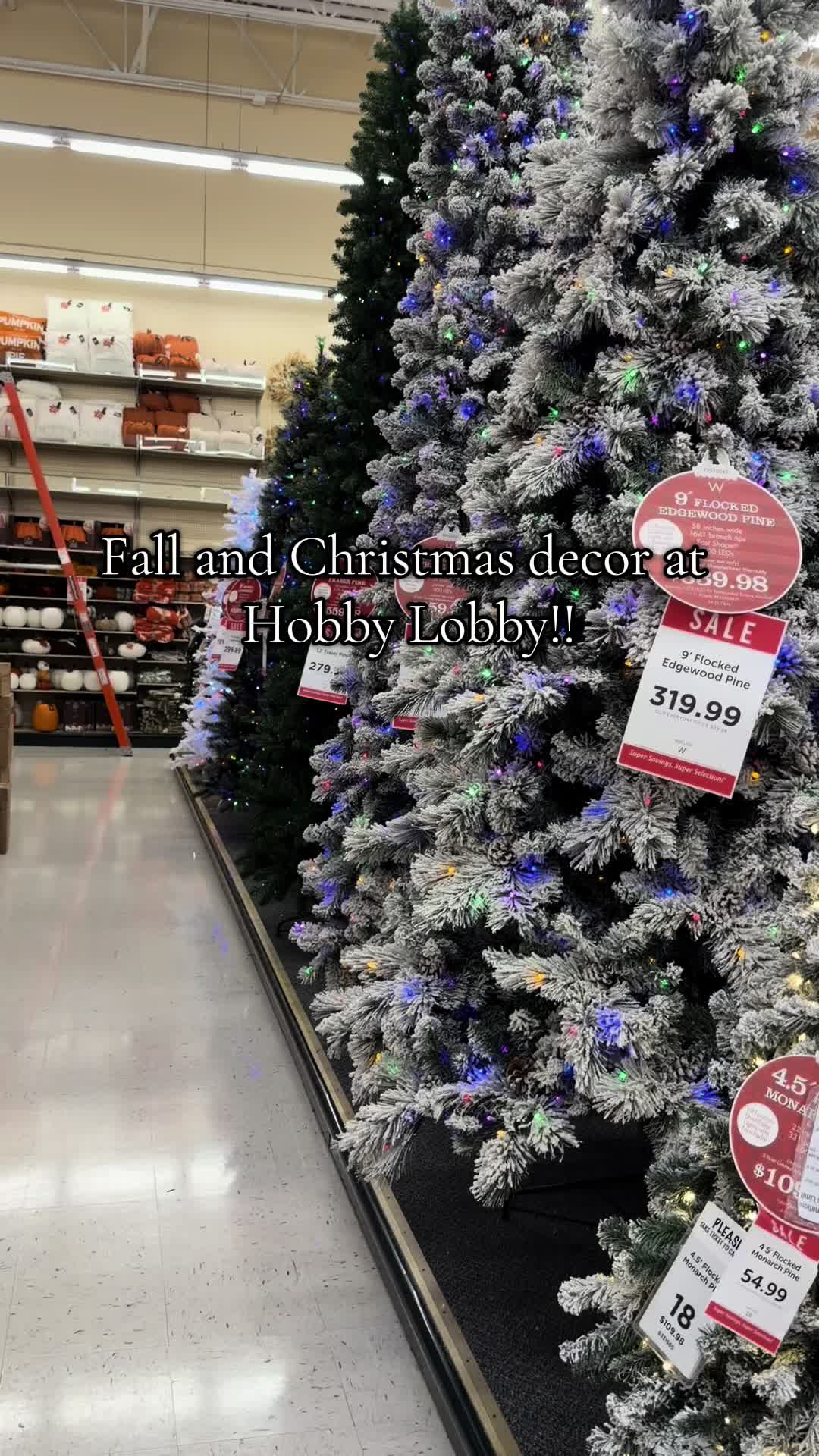 @hyt2426