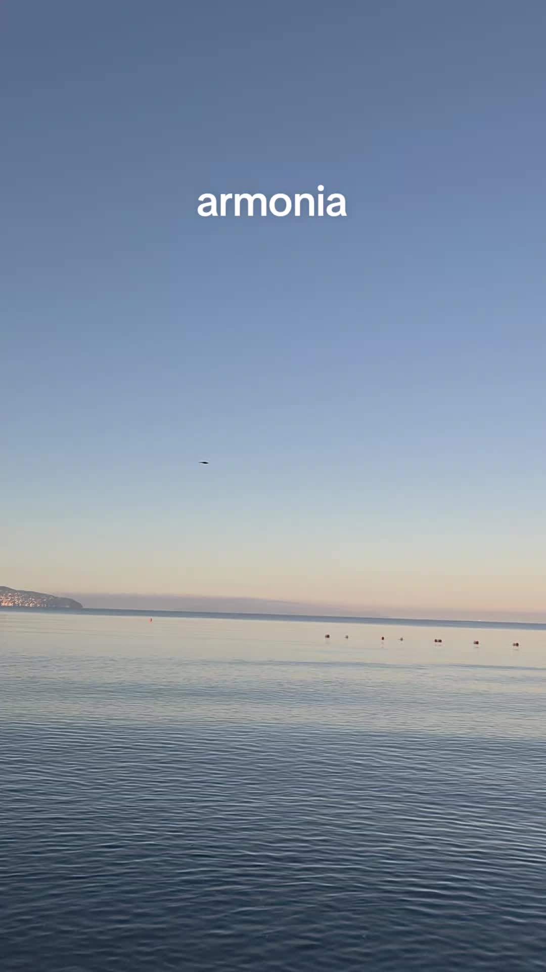 @Tempini