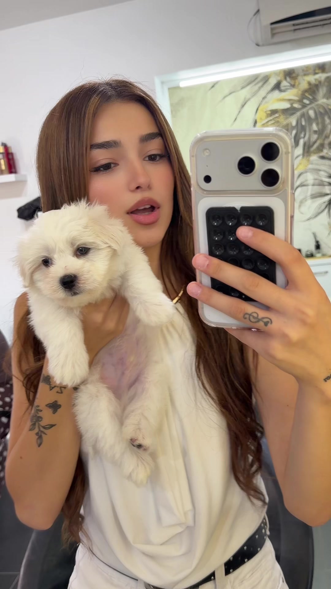 @Anisa🪽