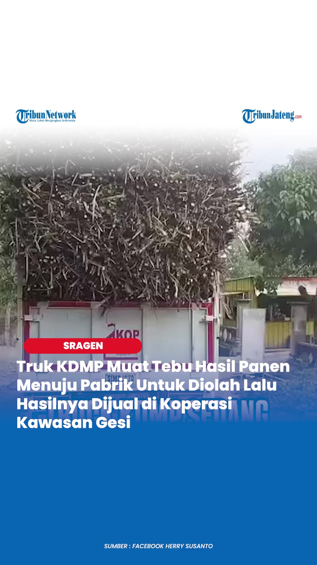 @Tribun Jateng