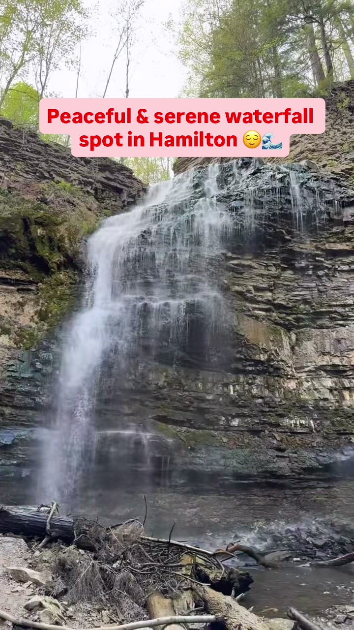 @Northly Hamilton