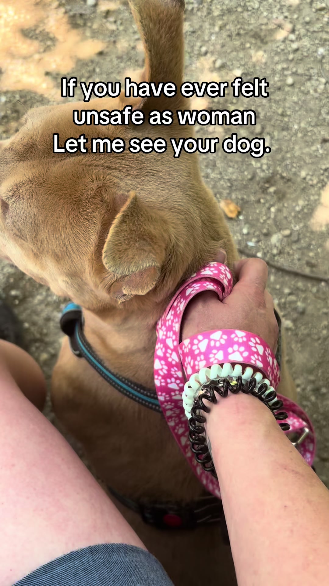 @danilc614🐾