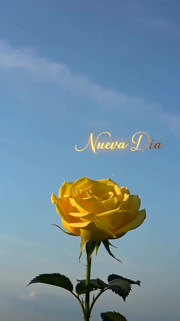 @buenos d&iacute;as y bendiciones