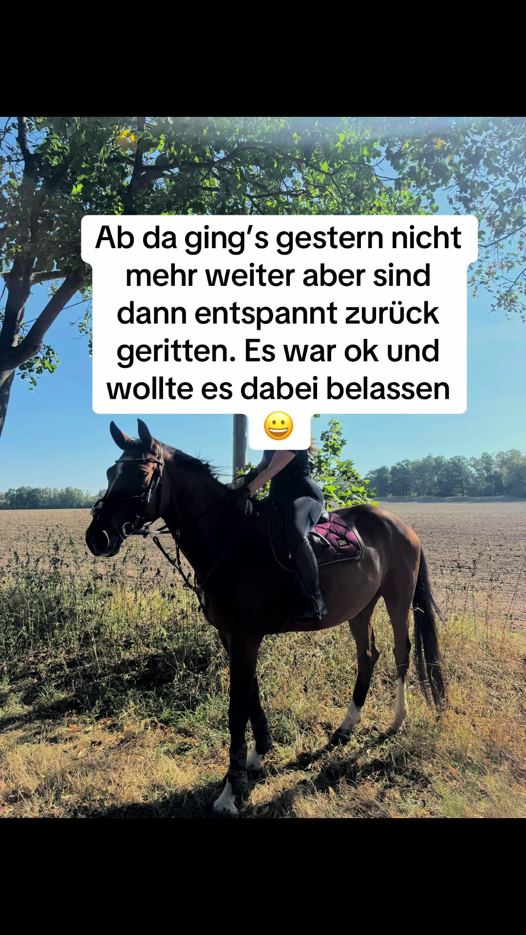 @laura_equestrian25