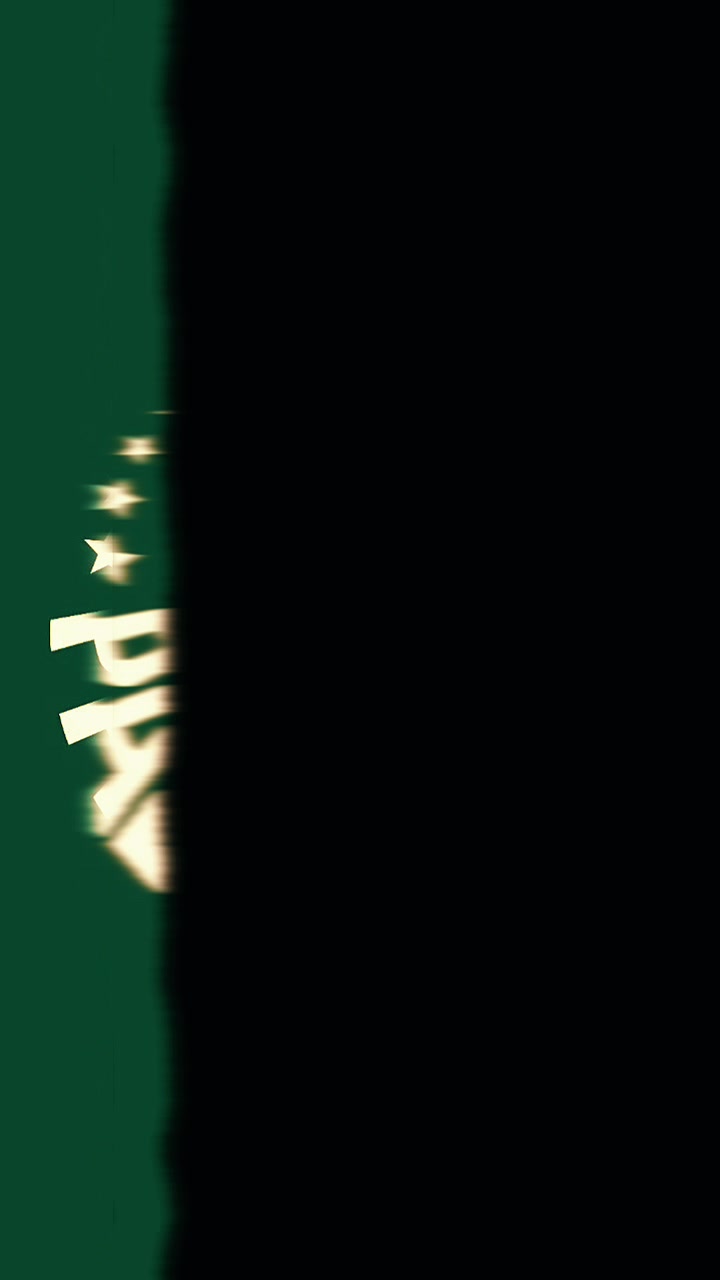 @palmeiras sempre