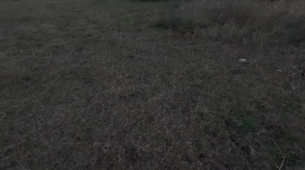 @СИПЛЫЙ