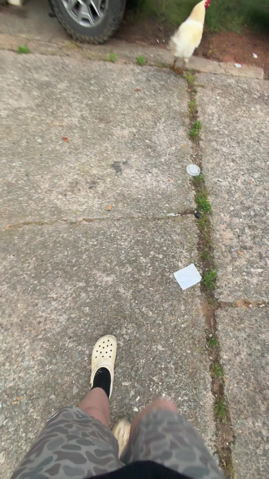 @bradass.14