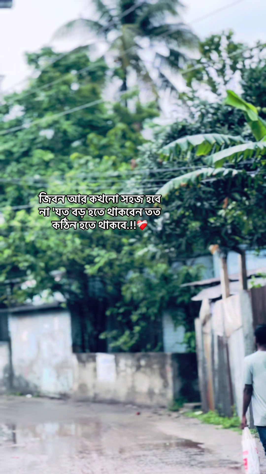 @♪~Ꭰꫝɪᴍᴏɴᴅ_