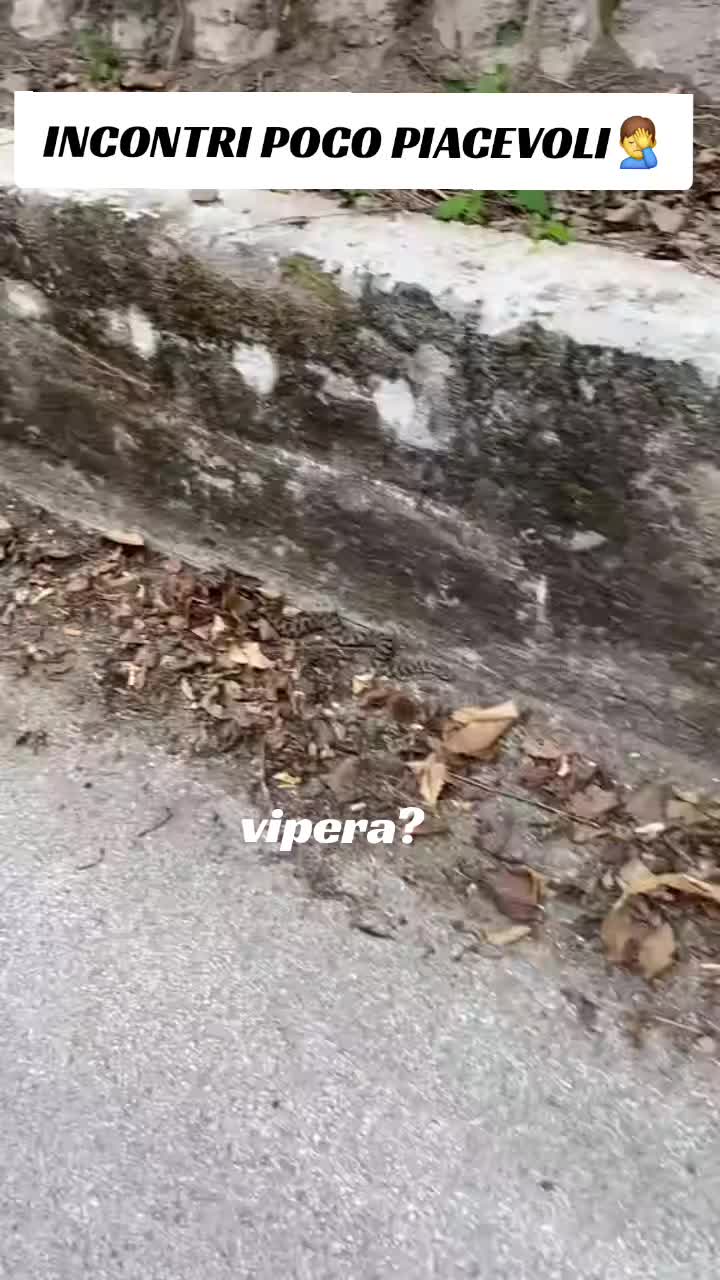 @fabio🥰