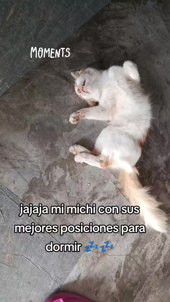 @✨Yesik Rojas 🩷