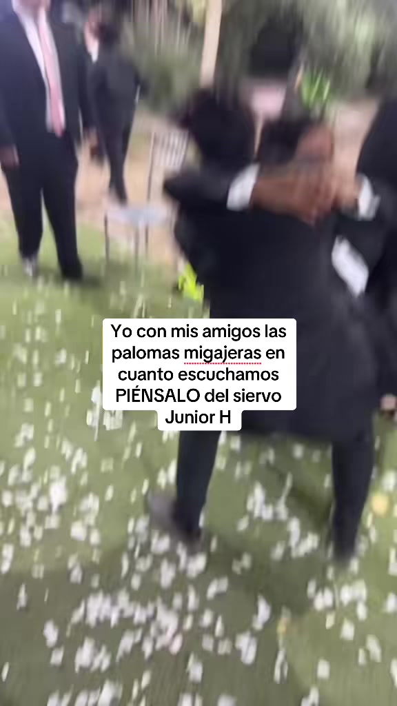 @aldopelaez