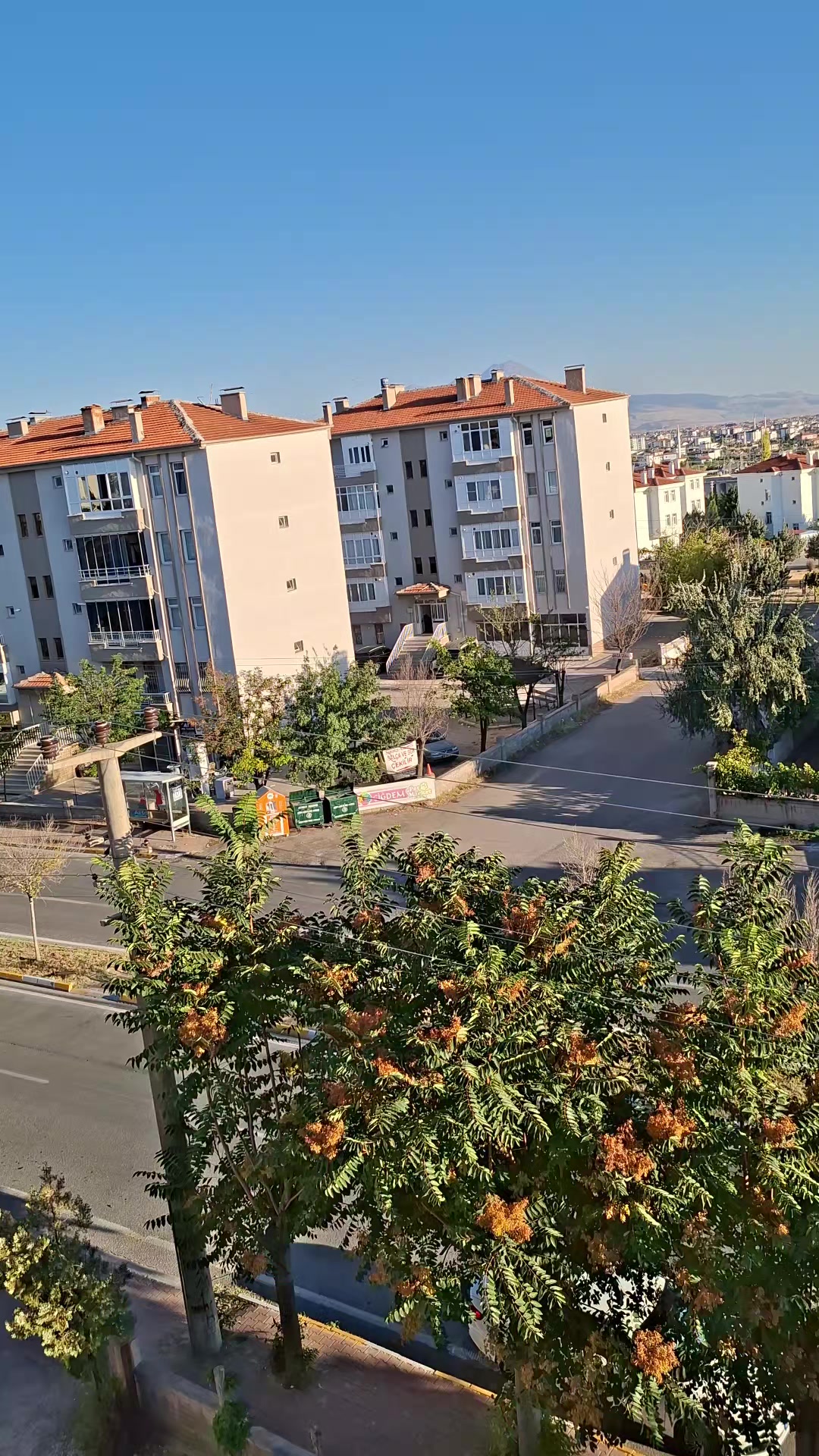 @Saban Bildirici