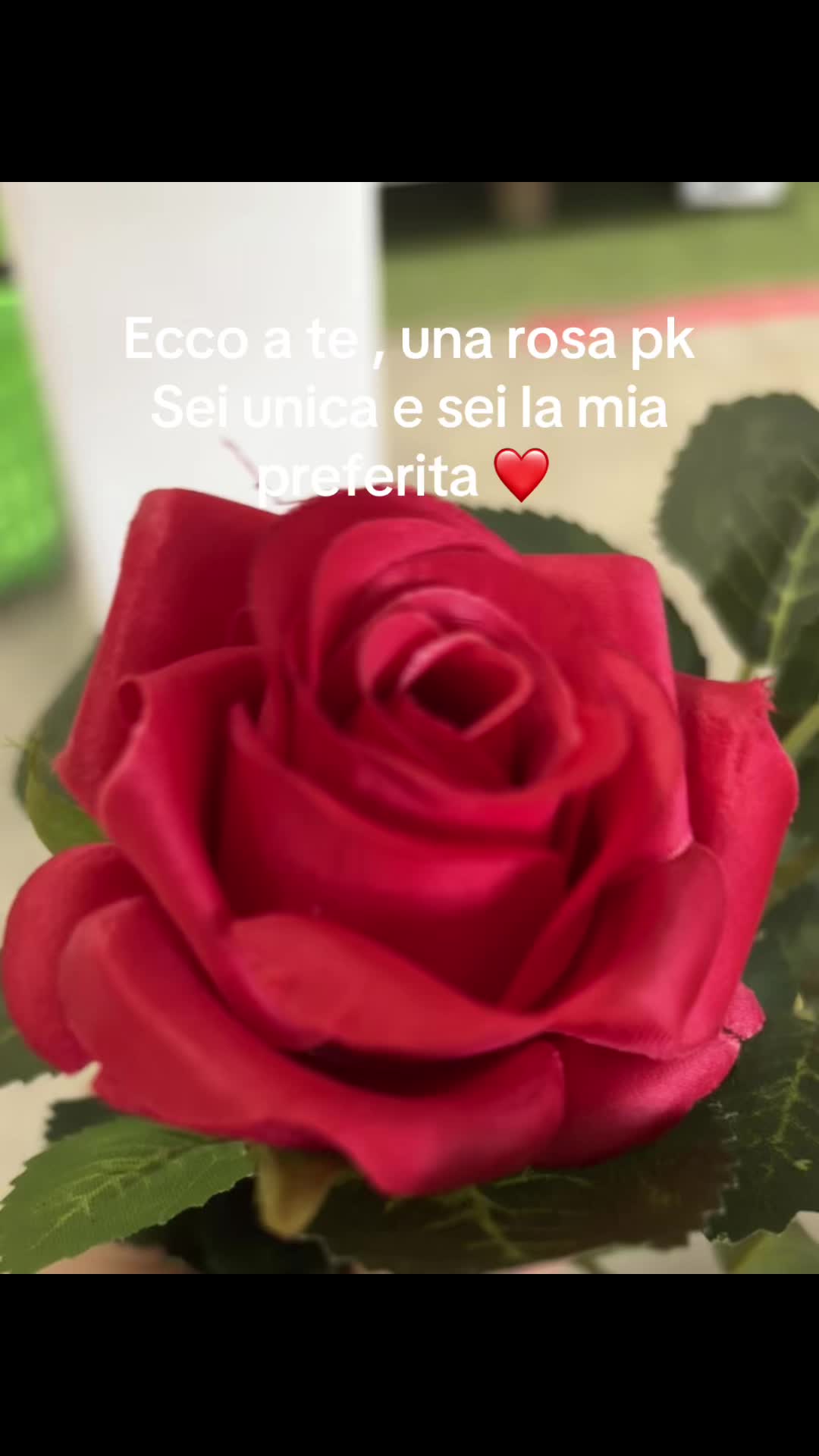@sirene13