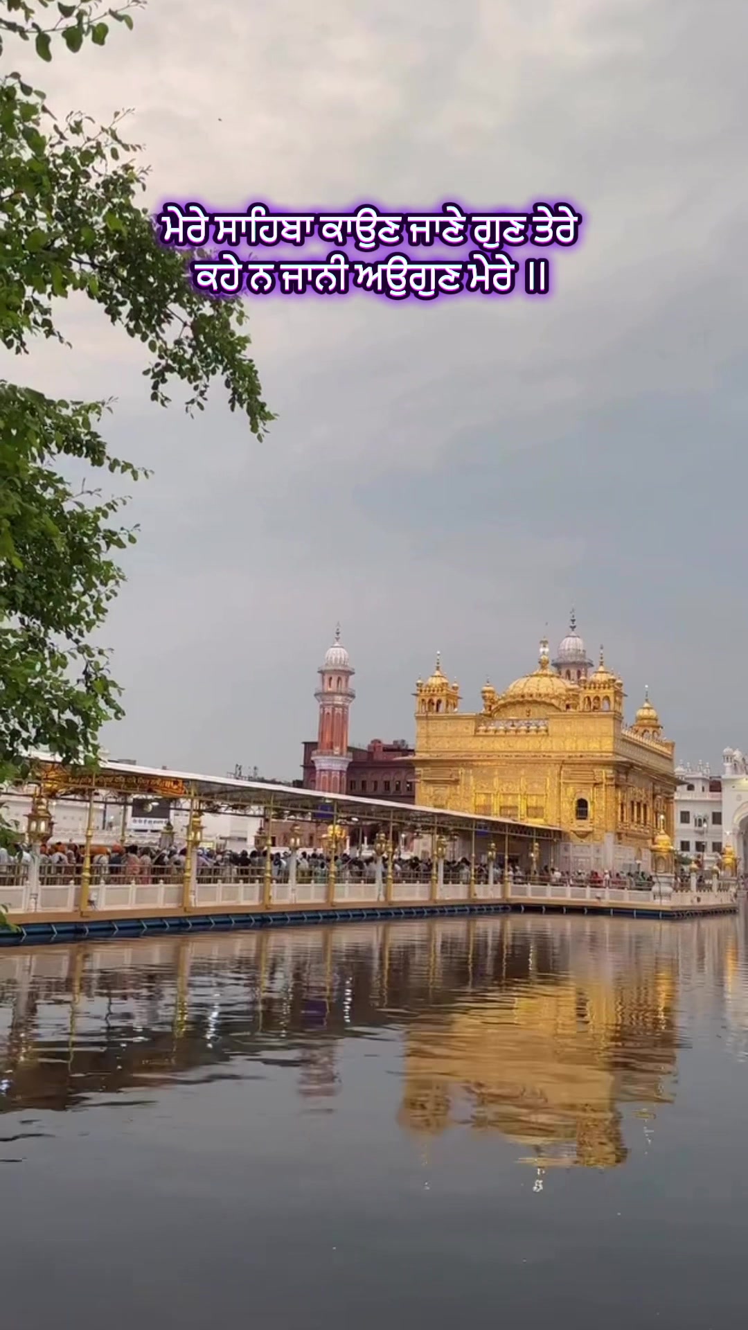 @waheguru_jipb06wale5