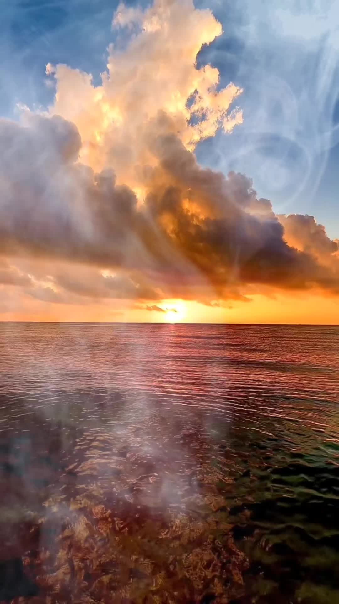@๐๐งญโค๏ธ๐ฅ๐ชฝ๐๐๐
๐๐งก๐๐๐๐