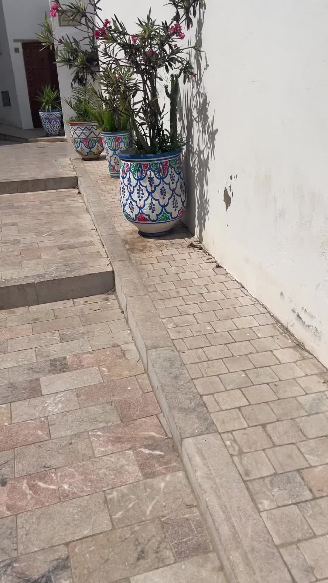 @ولمن خاف مقام ربه جنتان٤٦ lail