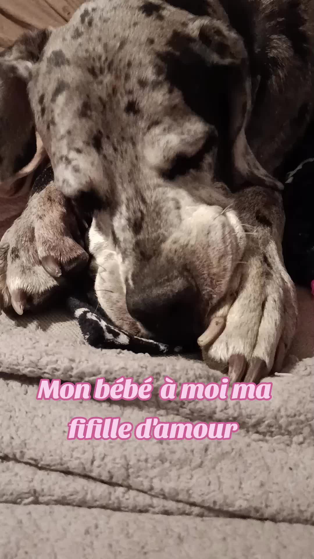@๐ท๐๐๐๐๐ ๐๐๐ ๐๐๐๐๐